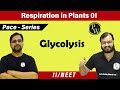 Respiration in Plants 01| Glycolysis | Class 11 | Pace series | NEET
