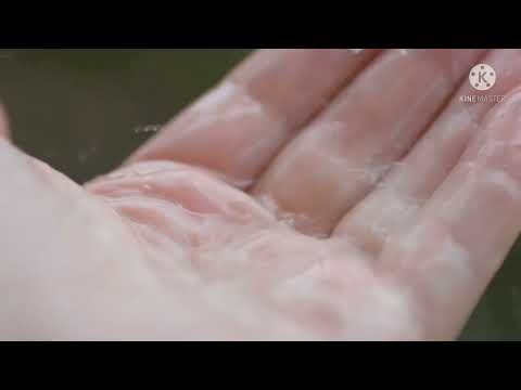 موسيقى فيلم الحريف هانى شنودة