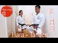 One point Training #7   HARA:TANDEN空手の基本動作、肚・丹田 【Akita&#39;s Karate Video】