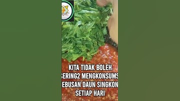 bahaya mengkonsumsi daun singkong #shorts