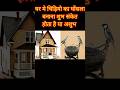 घर म च ड य क घ सल बन न श भ स क त ह त ह य अश भVastu घर म च ड य क घ सल बन न श भ स क त ह त ह य अश भVastu