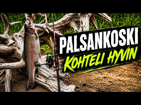 This 19-minute fishing video records Sami ja Kapa Kalassa’s midsummer-week trip to Palsankoski in 2026. The description says the water level suited fishing that day and that the pair had some fishing action. Those observations belong to one outing, not to present water levels, fish availability or a likely result for other visitors. It gives a recreational angler’s view of the rapids; check current permits, local closures and conditions before fishing.