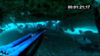 pesca una urta en un barco a 40 metros de profundidad de Fran Narvaez