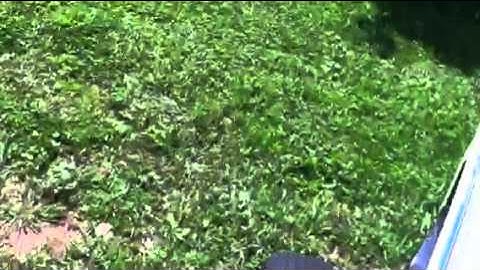 Mowing on the Cub Cadet 1000 IH