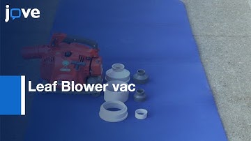 Leaf Blower vac for field Sampling of Arthropods | Protocol Preview
