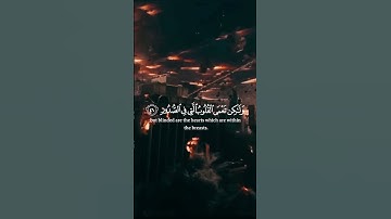 #ياسر_الدوسري #قران #القران_الكريم #الله #قران #محمد_رسول_الله #مسلم #اكسبلور #تلاوة_خاشعة
