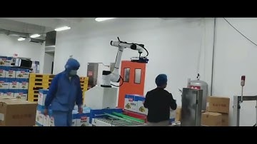 Robot arm palletizer 