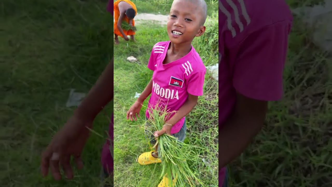 ប្រគេនភេសជ្ជៈព្រះសង្ឃធ្វើការងារ