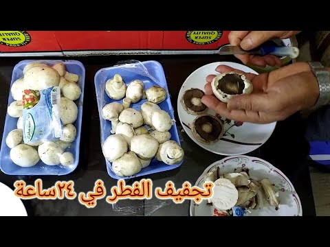 فيديو: قواعد تجفيف الفطر