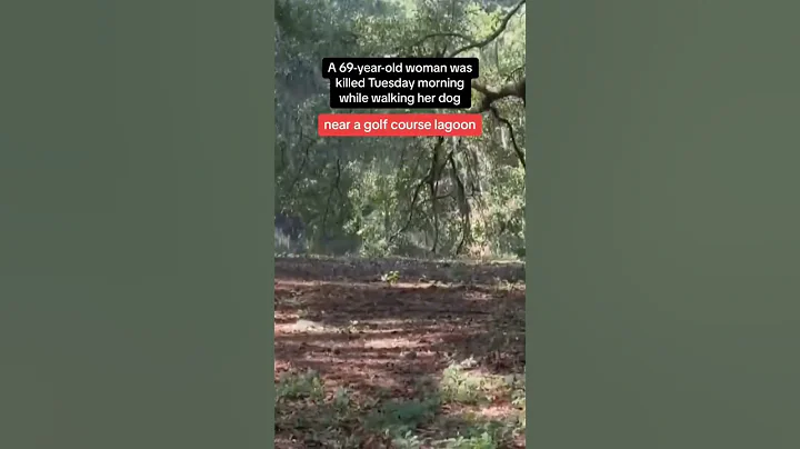 Woman killed in alligator attack while walking dog near golf course in South Carolina #shorts