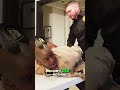 Security Guards Accuse Man of Theft, He Pleads Innocence! #shorts