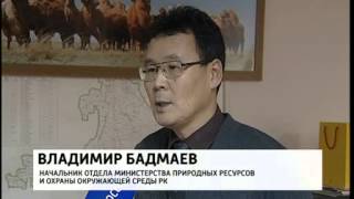 В Красную книгу Калмыкии вошли более 300 видов представителей флоры и фауны В Красную книгу Калмыкии вошли более 300 видов представителей флоры и фауны