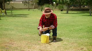 The Garden Gurus - Get Your Water Where It’s Needed