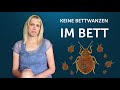 So können Sie Bettwanzen Stiche und Bettwanzen erkennen und die Bettwanzen bekämpfen