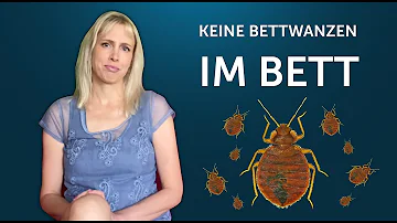 Wie finde ich heraus ob ich Bettwanzen habe?