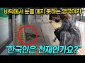 외국인들이 보고 눈을 의심한 한국 지하철의 놀라운 숫자들