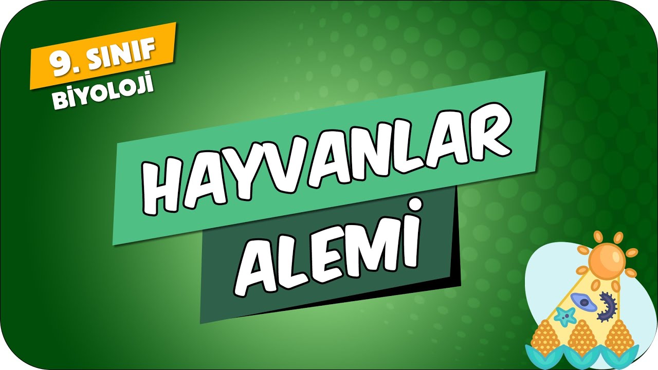⁣Hayvanlar Alemi | 9.Sınıf Biyoloji #2024