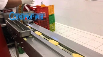 【On Selling 】ICE CREAM PACKING MACHINE , ICE CREAM IN FLOW WRAPPER,ICE LOLLY PACKING