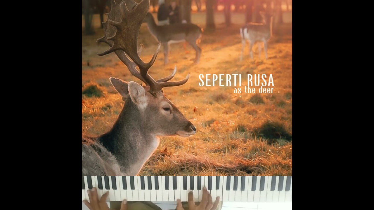 As The Deer - Seperti Rusa