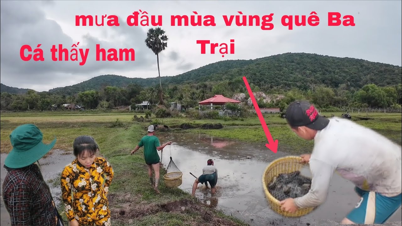 Vùng Quê Hẻo Lánh Núi Ba Trại Mưa Đầu mùa Cá Thấy Ham.