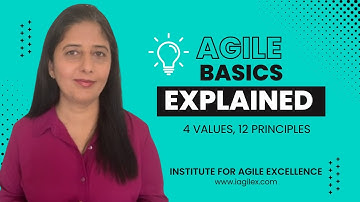 Agile Basics Explained: 4 Core Values & 12 Principles!