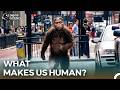 Human Evolution and The Identity Development Through Cells | Naked Science
