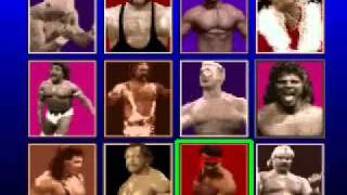 Gamer Moments #4: WCW Super Brawl Wrestling (Character Select Screen)