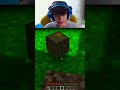 MINECRAFT MA... NON POSSO MUOVERMI