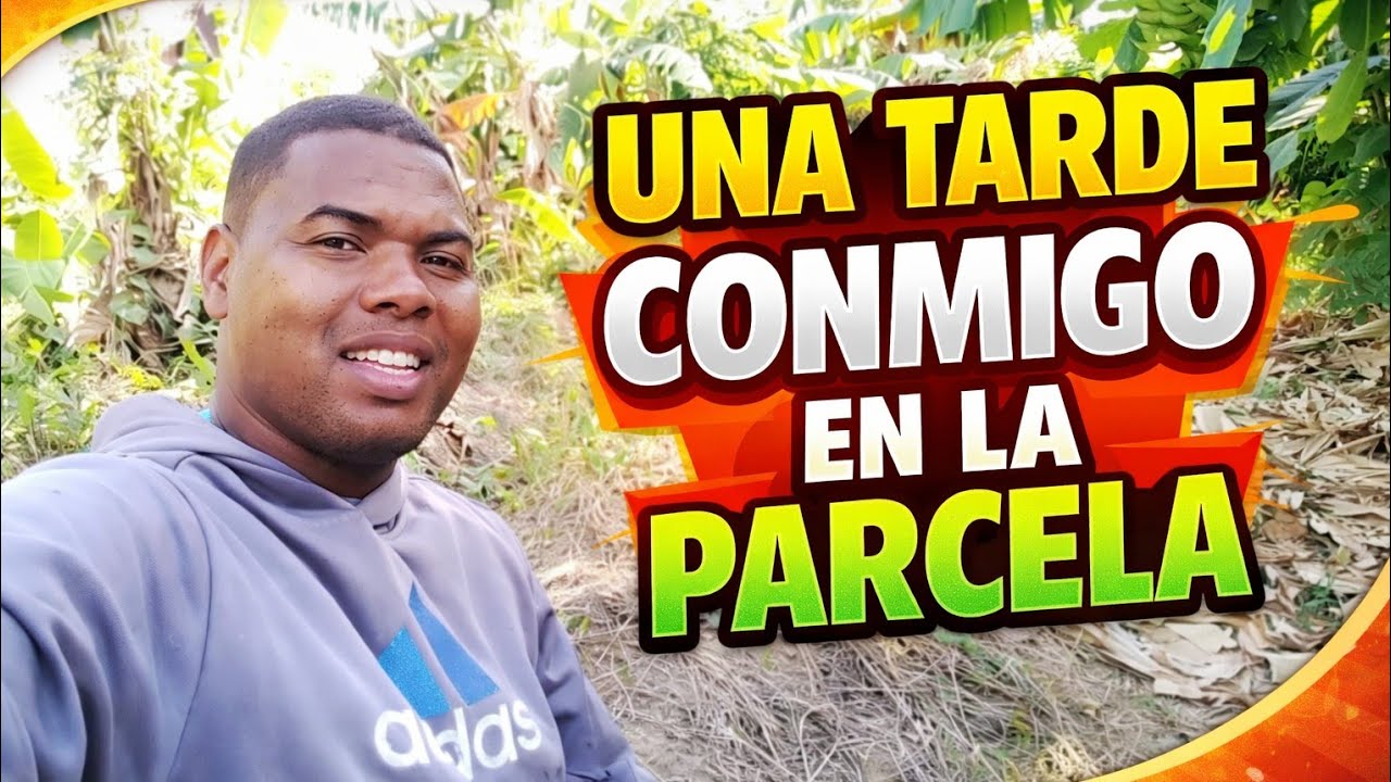  Como es tarde conmigo en la parcela cuando no hay trabajo 