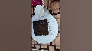 cake icing #cake frosting#shortvideo #cakedecorating #cake #trending #easy #layer cake#icing cake