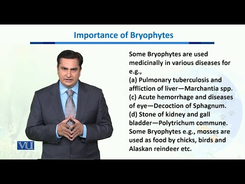 Importance Of Bryophytes Biodiversity Evolution II BT201 Topic110 