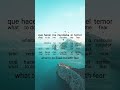 Learn Spanish with Worship 🇪🇸🙏 | Buscando Una Señal (Lyrics + Translation)