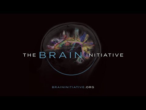 The BRAIN Initiative -- The first five years