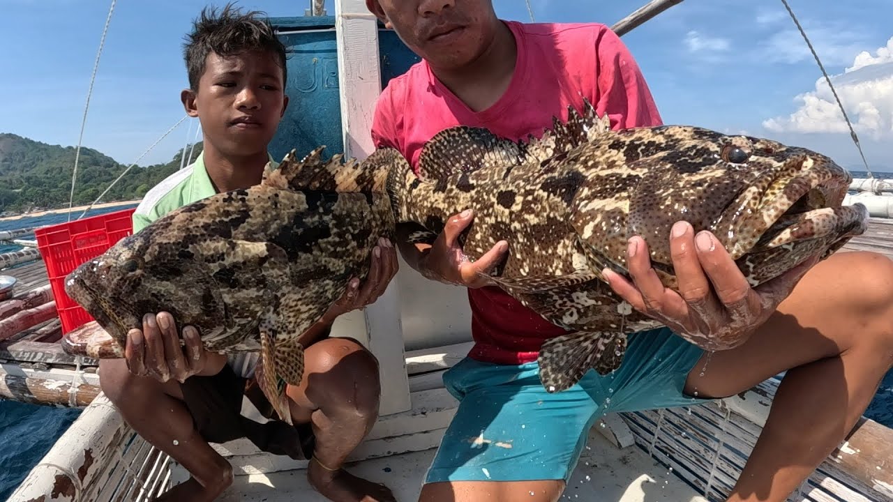 Naglalakihang Grouper Ang Nahuhuli Namin