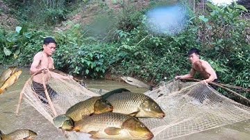 GỎI CÁ TRẮM CỎ ĐẠI CỖ LIÊN HOAN | Nhịp Sống Thường Ngày