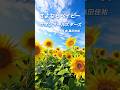 サザンオールスターズ/さよならベイビー
