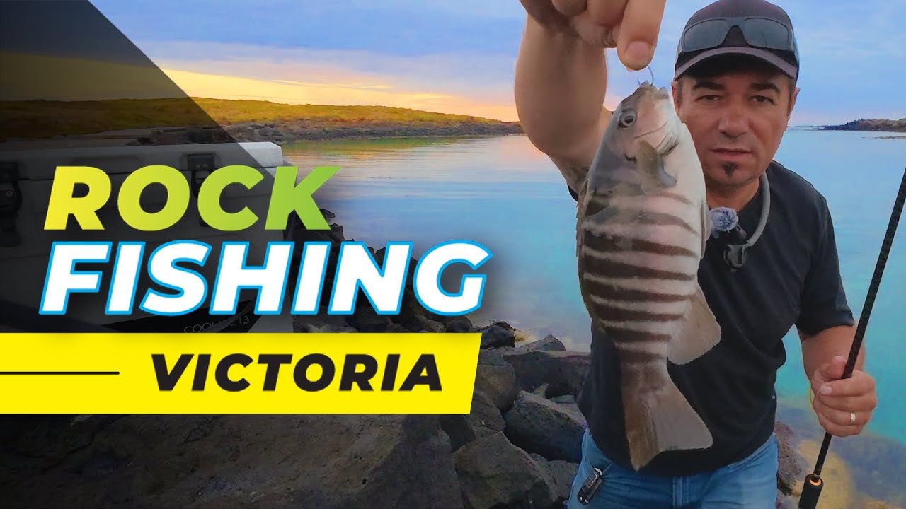 Victoria Rocks Wa VICTORIA Rock Fishing 🎣 - YouTube