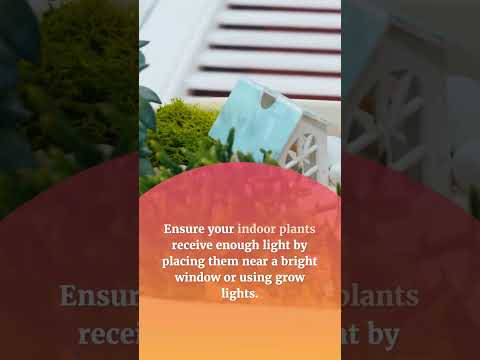 Video: Legginess nelle piante - Come evitare che le piante diventino gambe lunghe