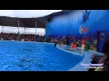 На Арабатской стрелке открылся дельфинарий "Оскар-Геническ"