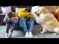 Golden Retriever Dog Reacts When My Wife and I are Sad