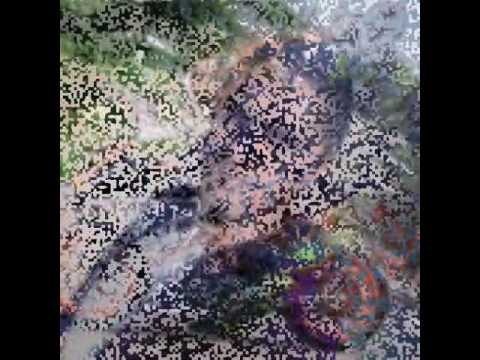 اغنية شكر لي اصدقائي