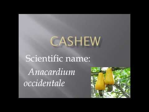 Pronunciation, Picture and