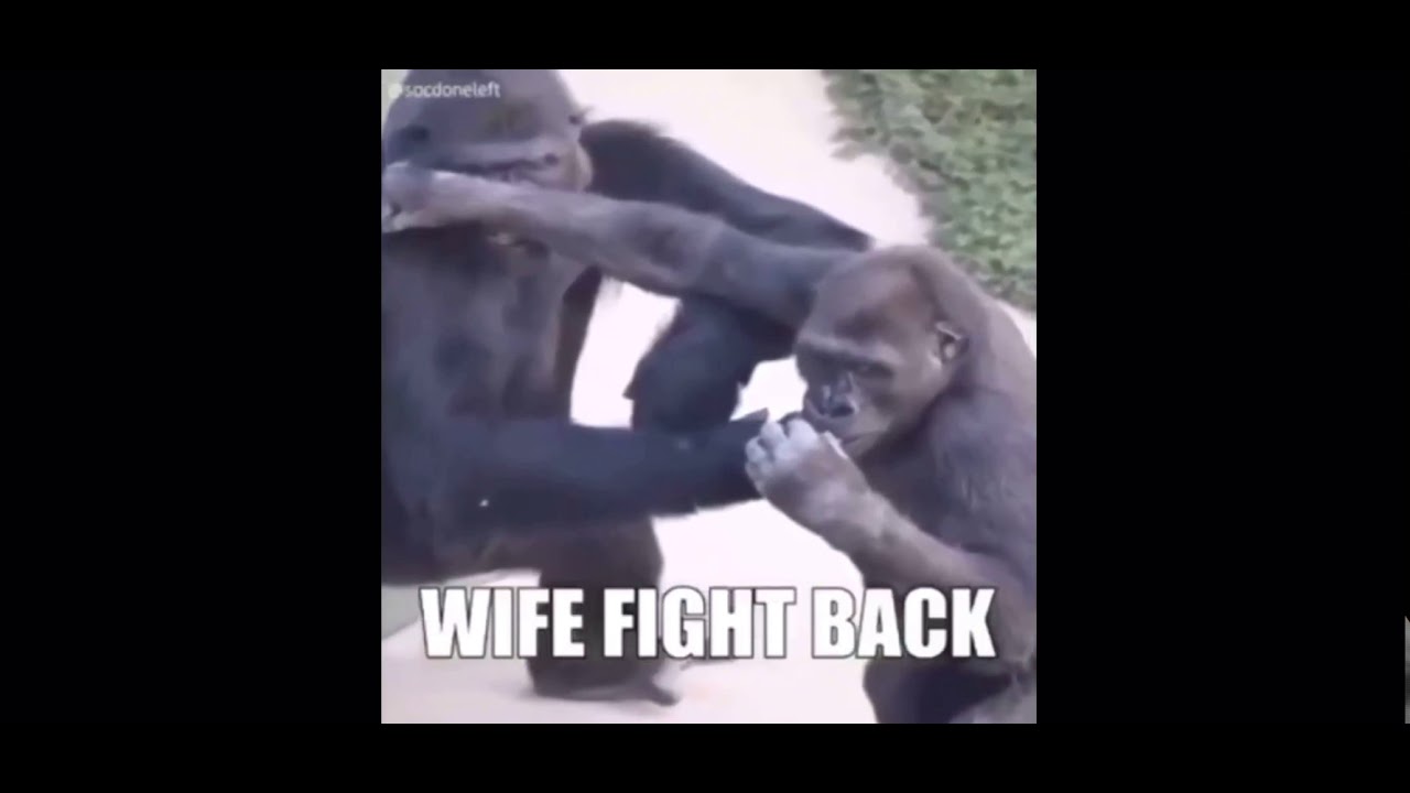 Ride Wife, Life Good YouTube