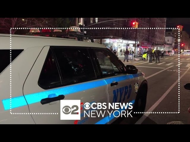 53 Year Old Woman Killed In Hit And Run In The Bronx