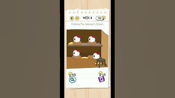 Brain Test Tricky Puzzles Week 8 Answer