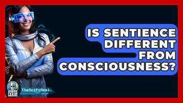 Is Sentience Different From Consciousness? - The SciFi Reel