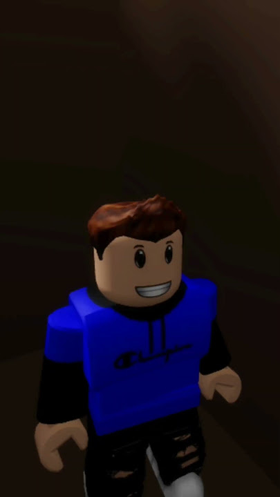 Pov roblox Brook -tags #funny #reels #brookhaven #bruh #domnuvictron #f