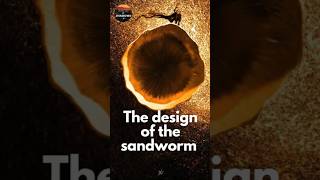 Why The Design Of The Sandworm Is Absolutely Brilliant