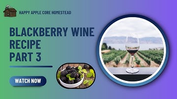 Blackberry Wine Recipe - Part 3