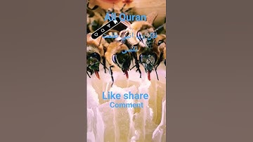 #القران_الكريم #تلاوه_خاشعه #قال رب انیی ظلمت نفسی #الشيخ  محمود الشحات #المصحف #foryou